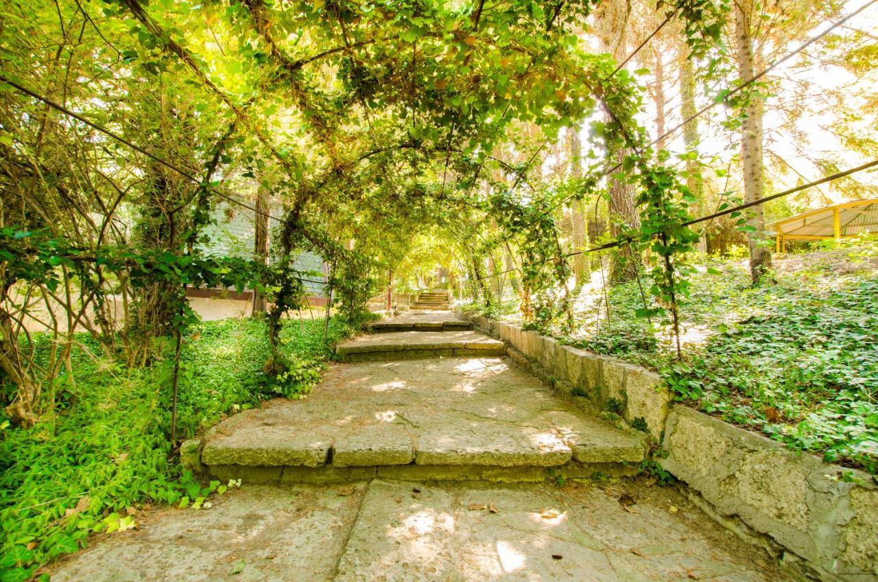 Park Complex Viktoria Hotel Balchik Exterior photo